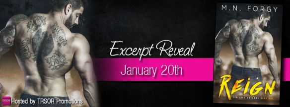 reign excerpt reveal